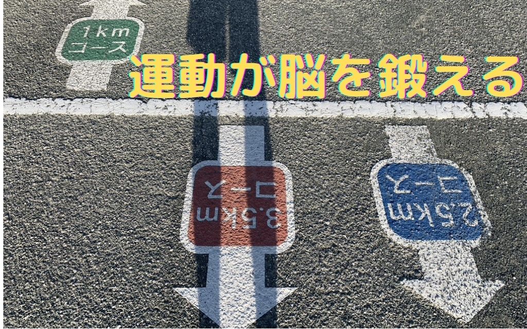 頭を良くしたければ、運動をするべし！！読書と連動がおすすめ！